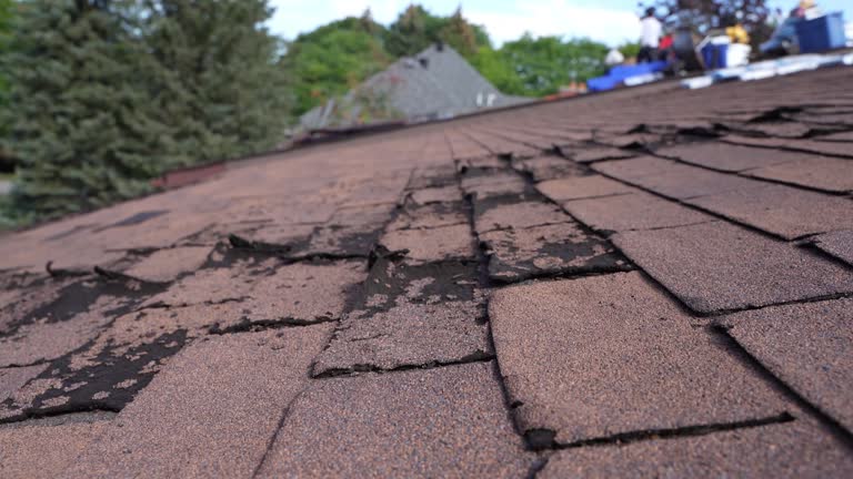 Fast & Reliable Emergency Roof Repairs in Nuevo, CA