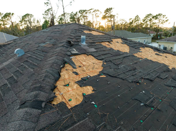 Best Roof Repair  in Nuevo, CA